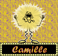 Naamanimaties Camille 