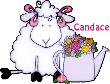 Naamanimaties Candace 