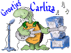 Naamanimaties Carliza 