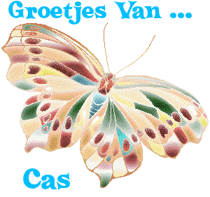 Naamanimaties Cas 