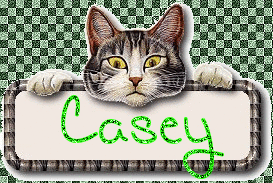 Casey Naamanimaties 