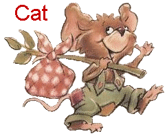 Naamanimaties Cat 