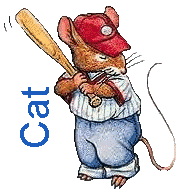Naamanimaties Cat 