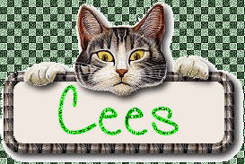 Naamanimaties Cees 