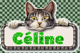 Celine Naamanimaties Poesje Kat Celine