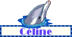 Celine Naamanimaties Celine Dolfijn Blinkie