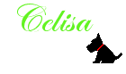 Naamanimaties Celisa 