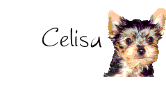 Naamanimaties Celisa 