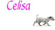 Naamanimaties Celisa 