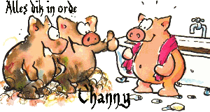 Naamanimaties Channy 