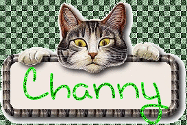 Naamanimaties Channy 