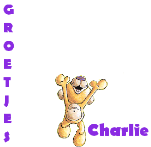 Charlie Naamanimaties 