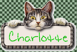 Naamanimaties Charlotte 