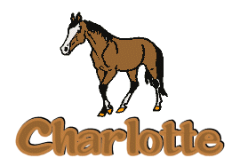 Naamanimaties Charlotte 