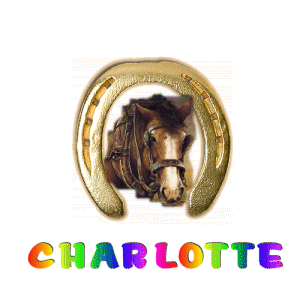 Naamanimaties Charlotte 