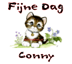 Naamanimaties Conny 
