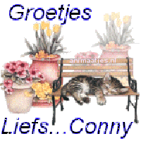Naamanimaties Conny 
