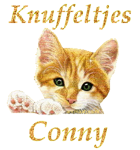 Naamanimaties Conny 