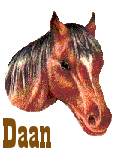 Naamanimaties Daan 