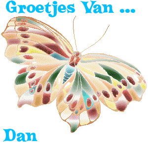 Dan Naamanimaties 