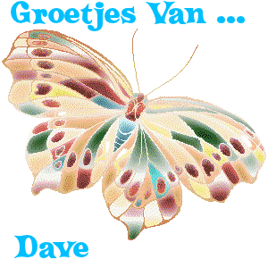 Dave Naamanimaties 
