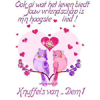 Naamanimaties Dem 