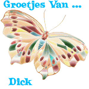 Naamanimaties Dick 