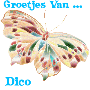 Naamanimaties Dico 