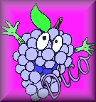 Naamanimaties Dico 