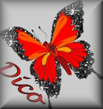 Naamanimaties Dico 