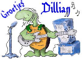 Naamanimaties Dillian 