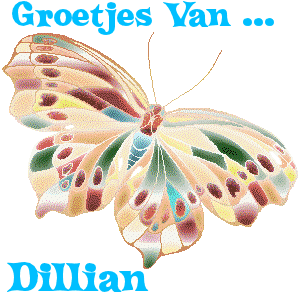 Naamanimaties Dillian 