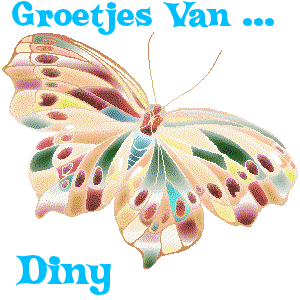 Naamanimaties Diny 