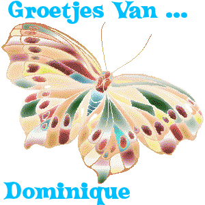 Dominique Naamanimaties 