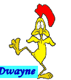 Naamanimaties Dwayne 