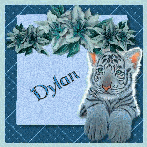 Dylan Naamanimaties 