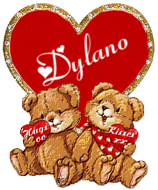 Naamanimaties Dylano 