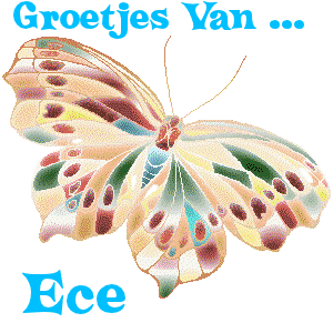 Naamanimaties Ece 