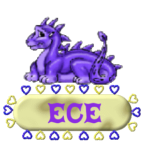 Naamanimaties Ece 