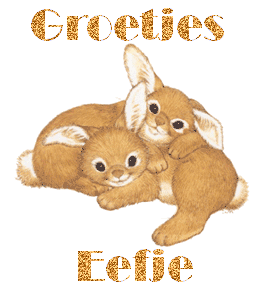 Naamanimaties Eefje 