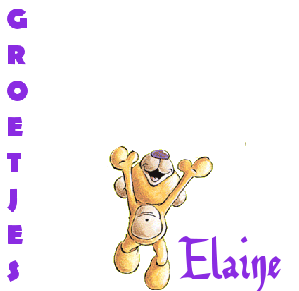 Elaine Naamanimaties 