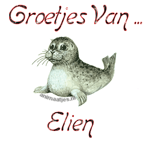 Naamanimaties Elien 