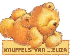 Eliza Naamanimaties 