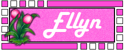 Ellyn Naamanimaties 