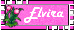 Elvira Naamanimaties 