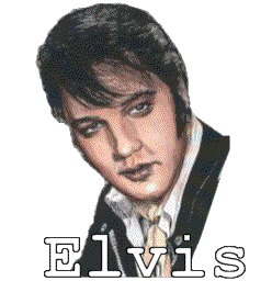 Elvis Naamanimaties 