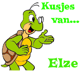 Naamanimaties Elze 