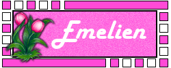Naamanimaties Emelien 