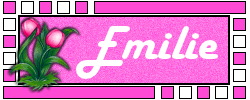 Naamanimaties Emilie 