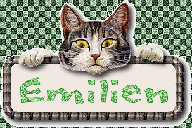Naamanimaties Emilien 